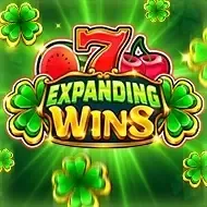 Expanding Wins game icon