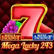 Mega Lucky 243 game icon